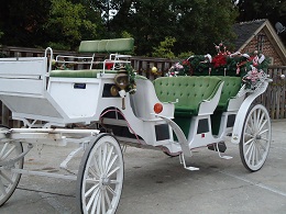 Whitehaven Carriages