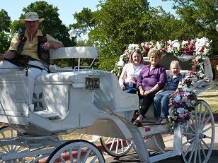 Whitehaven Carriages