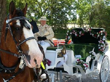 Whitehaven Carriages